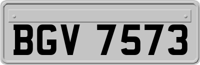 BGV7573