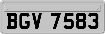 BGV7583