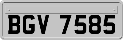 BGV7585