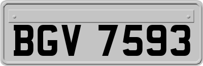 BGV7593