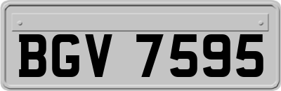 BGV7595