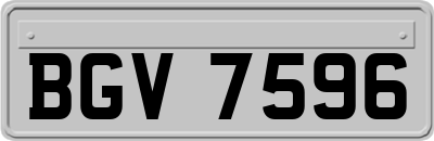 BGV7596