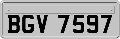 BGV7597