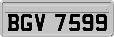 BGV7599