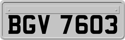 BGV7603