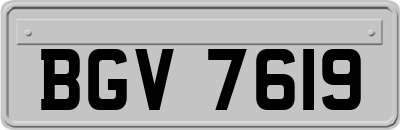 BGV7619