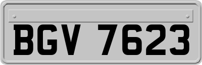 BGV7623