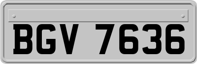 BGV7636