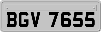 BGV7655