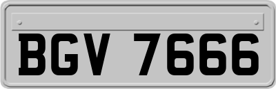 BGV7666