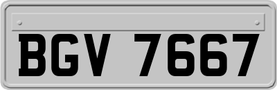 BGV7667