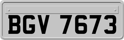 BGV7673