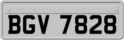 BGV7828