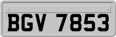 BGV7853