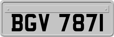 BGV7871