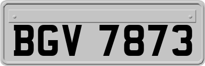 BGV7873