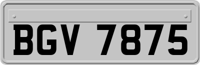 BGV7875