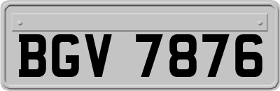 BGV7876
