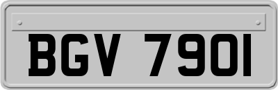 BGV7901