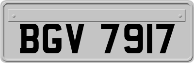BGV7917