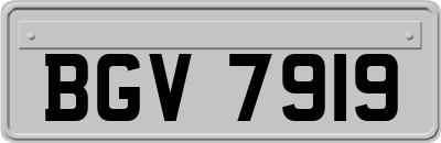 BGV7919