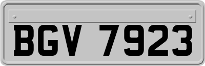 BGV7923