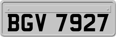 BGV7927