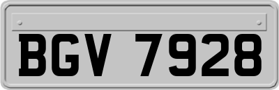 BGV7928