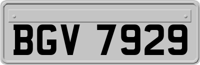 BGV7929
