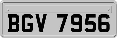 BGV7956