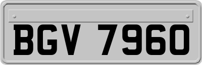 BGV7960