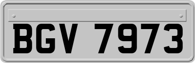 BGV7973