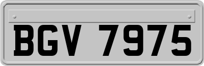 BGV7975