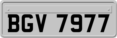 BGV7977