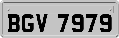 BGV7979