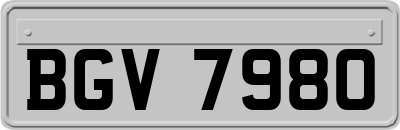 BGV7980