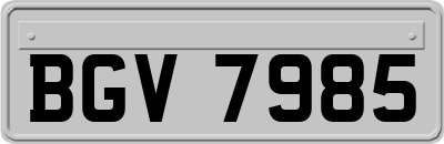 BGV7985