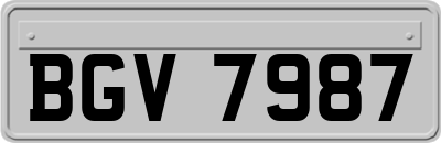 BGV7987