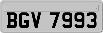BGV7993