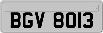 BGV8013
