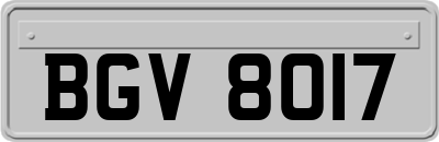 BGV8017