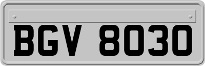 BGV8030