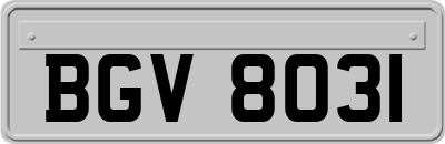 BGV8031