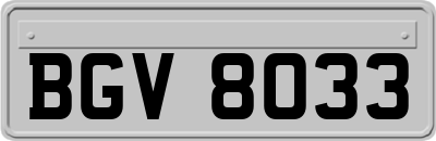 BGV8033
