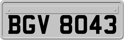 BGV8043