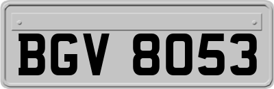 BGV8053