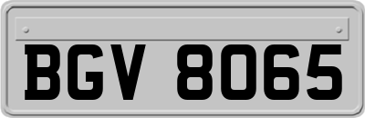 BGV8065
