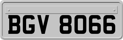 BGV8066