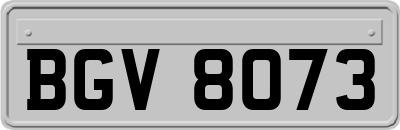 BGV8073