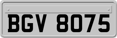 BGV8075